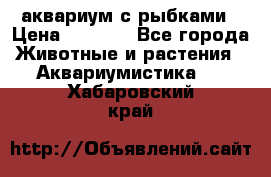 аквариум с рыбками › Цена ­ 1 000 - Все города Животные и растения » Аквариумистика   . Хабаровский край